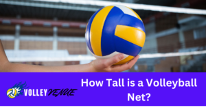 Read more about the article How Tall is a Volleyball Net- A Comprehensive Guide for All Levels