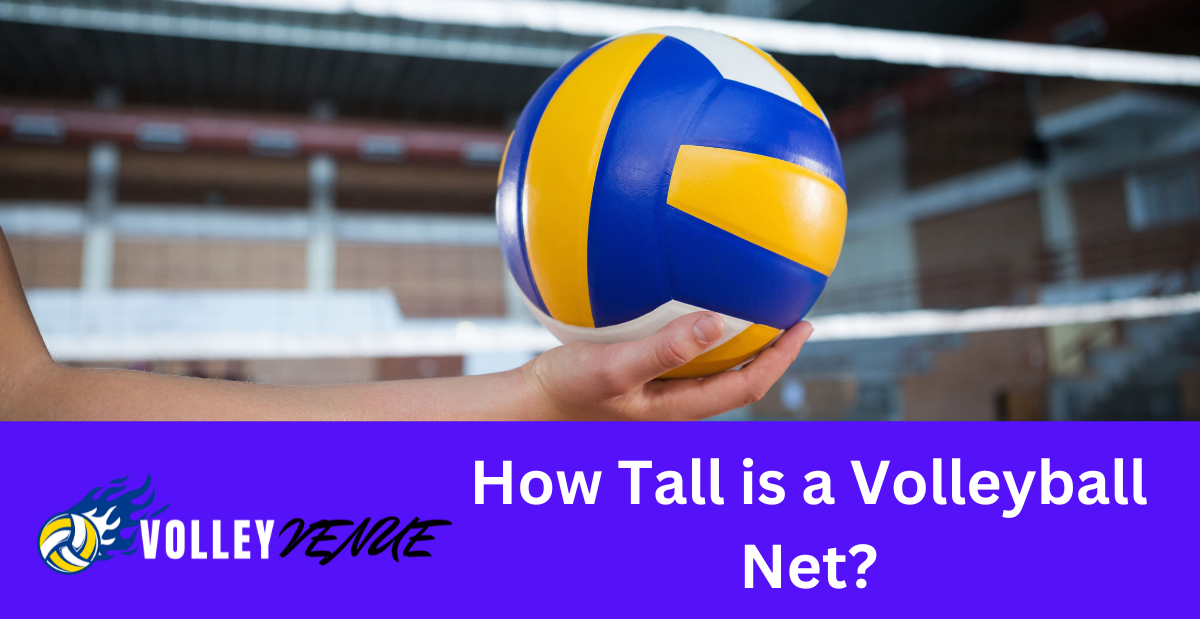 You are currently viewing How Tall is a Volleyball Net- A Comprehensive Guide for All Levels