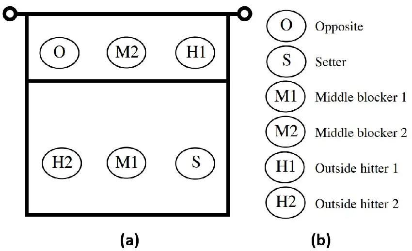 Basic Layout of Volleyball Positions