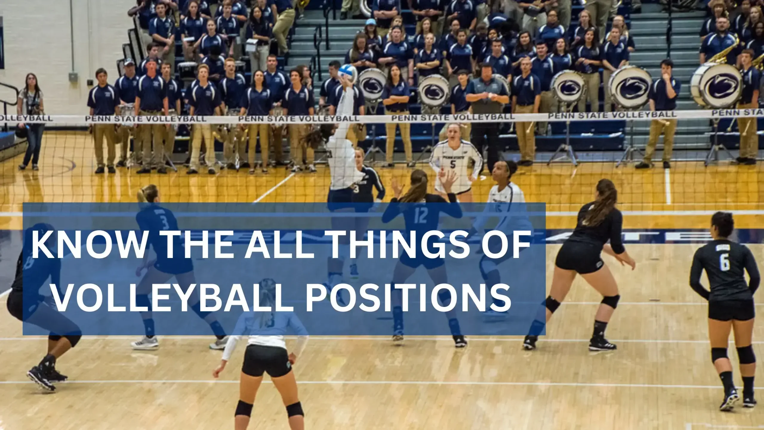 You are currently viewing Master at Volleyball Positions | Beginners Tips from Expert